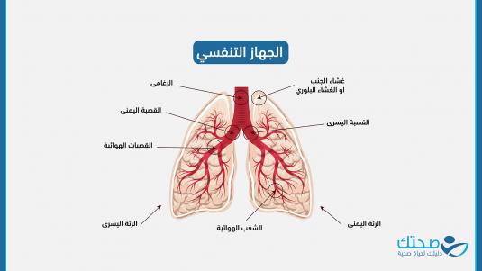العدوى التنفسية في مناطق النزوح الفلسطينية